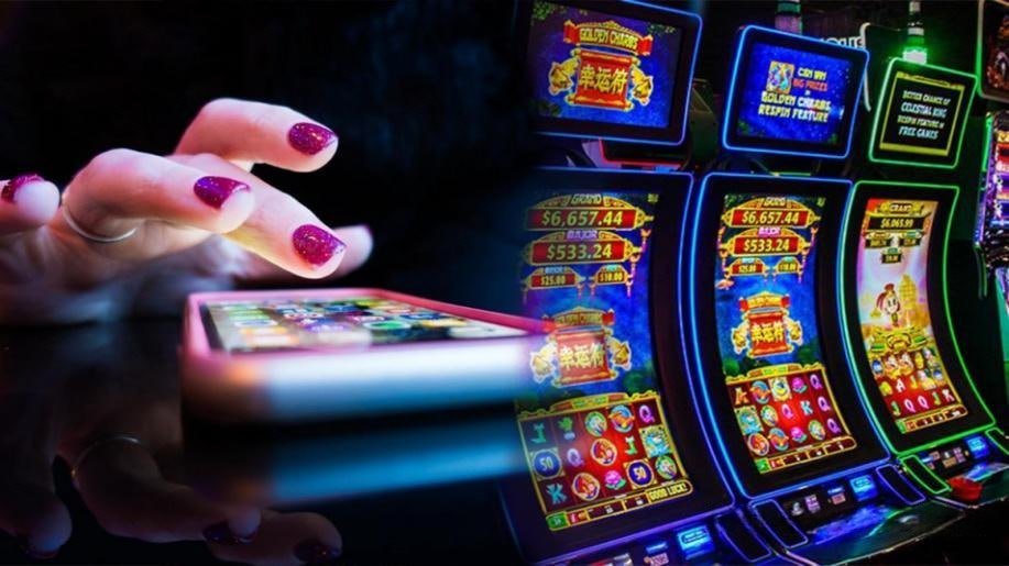 qqkopidarat program VIP eksklusif reward member setia Indonesia